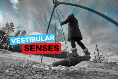 What are Vestibular Senses?