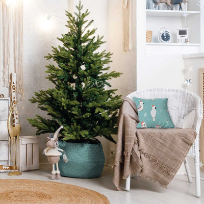 Bush Christmas Sensory Cushion Sensory Cushion JettProof.com.au 