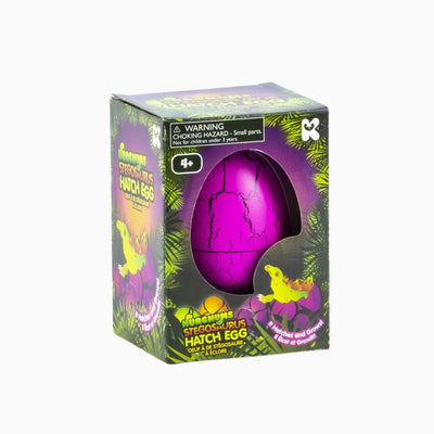 Large Stegosaurus Hatching Eggs Sensory Toys JETTPROOF Calming Sensory Clothing Inspired by Jett 