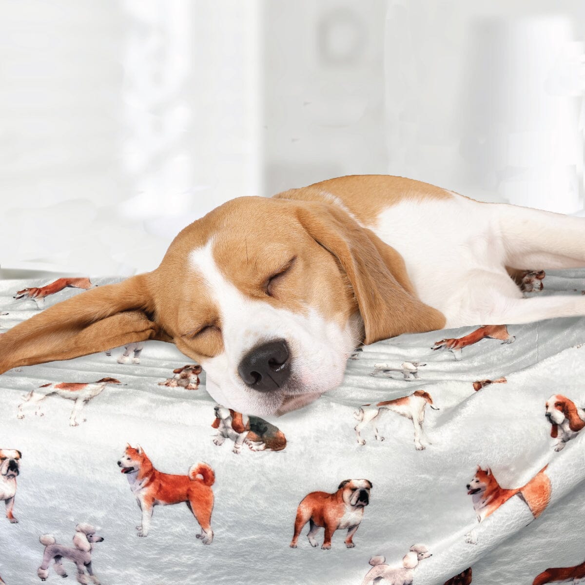 Dogs - Plush Blanket Plush Blanket JettProof 