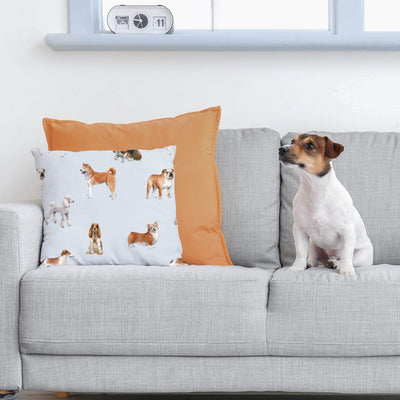 Dogs Sensory Cushion CUSHION JettProof 