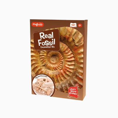 MAGNOIDZ Fossil Dig Kit Sensory Toys JETTPROOF Calming Sensory Clothing Inspired by Jett 