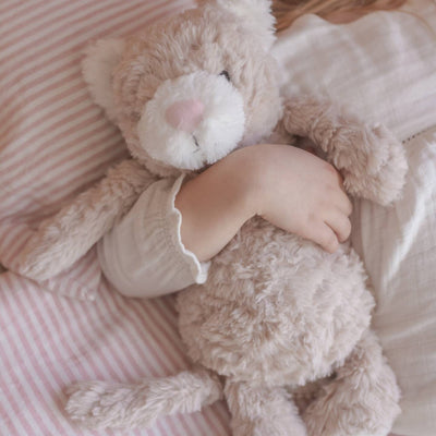 Pickles The Weighted Cat 1.8kg Weighted Toys JettProof 