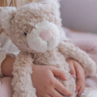 Pickles The Weighted Cat 1.8kg Weighted Toys JettProof 