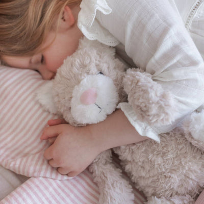 Pickles The Weighted Cat 1.8kg Weighted Toys JettProof 