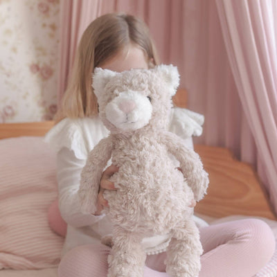 Pickles The Weighted Cat 1.8kg Weighted Toys JettProof 