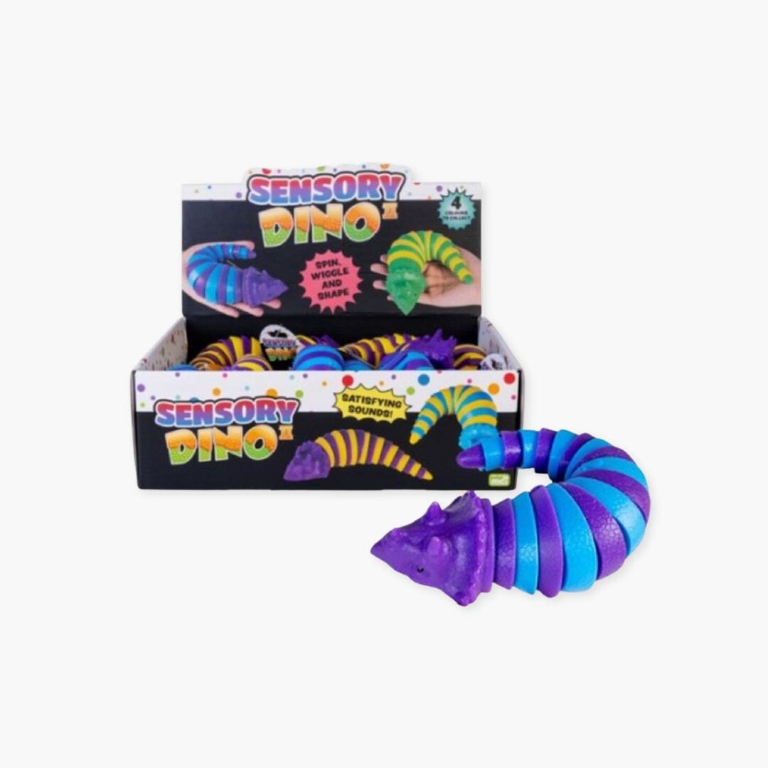 Sensory Dino - Assorted Sensory Toys JettProof 