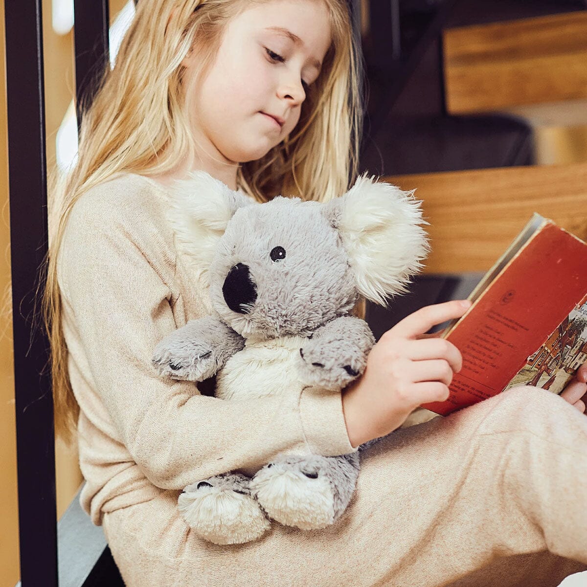 Warmies|Coolies - Large Koala Sensory Toys JettProof 