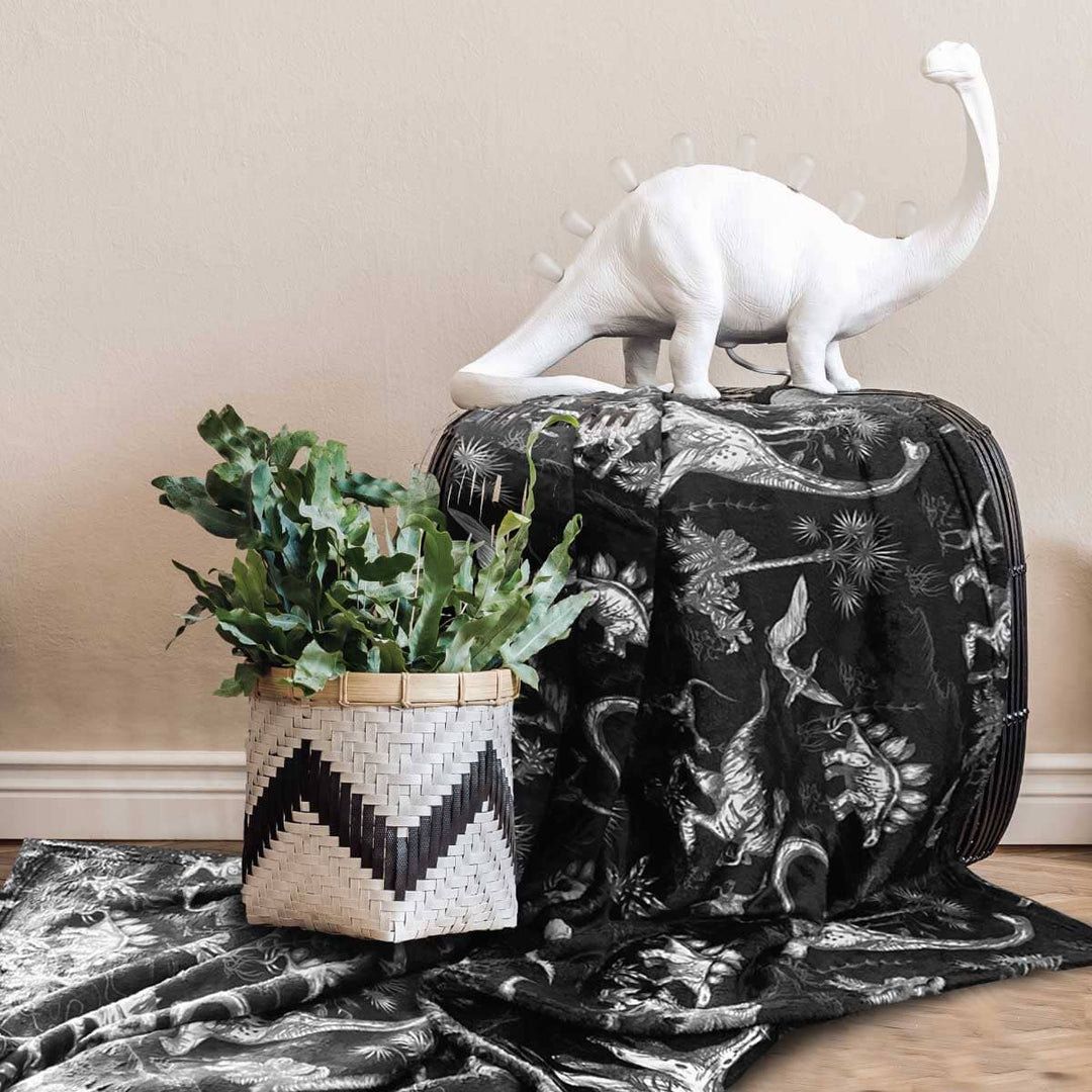 Dinosaur mink blanket on sale