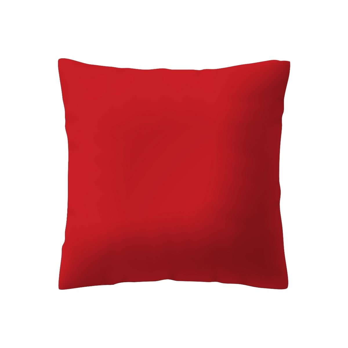 Red Sensory Cushion